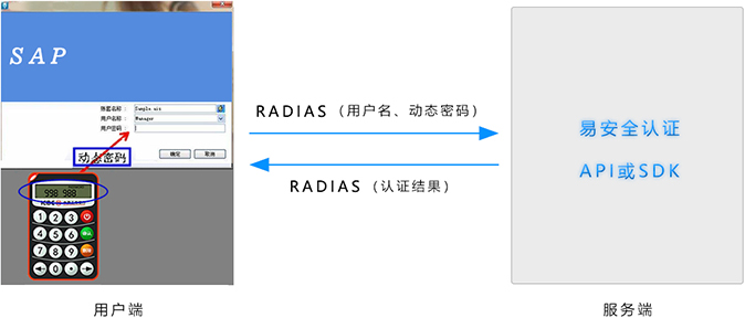 SAP、Oracle系列